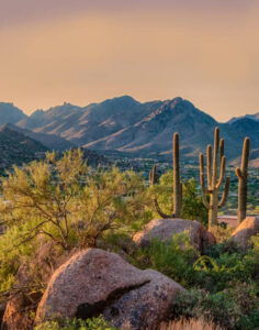 The Heart of Summer Caregiving in Scottsdale