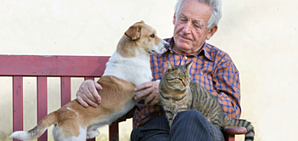 Pets for Seniors: Animals Can Make Older Adults Happier and Healthier