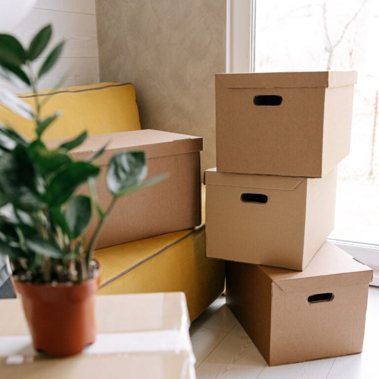 photo of boxes piled in room