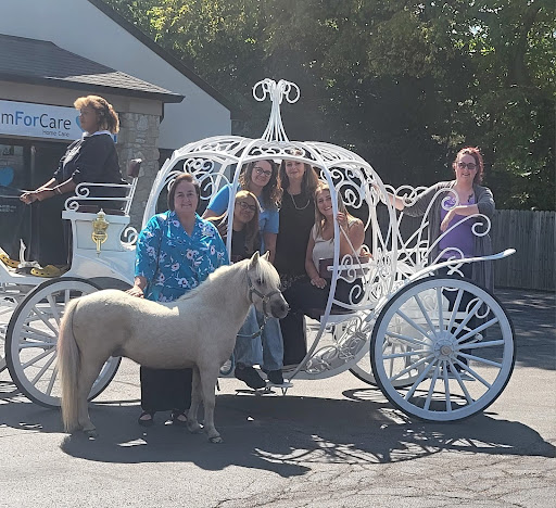 Equine Therapy for Seniors: Bringing Joy and Comfort Through Horses - Franklin, IN | ComForCare - EquineSouthIndy