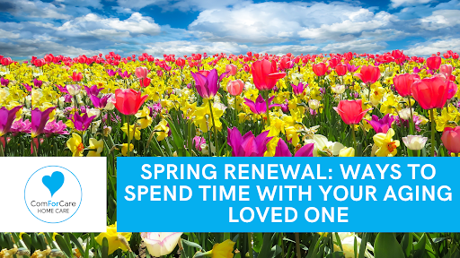 Spring Renewal: Ways to Spend Time With Your Aging Loved One - Canton, MA | ComForCare - Springrenewal