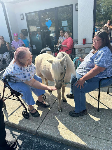 Equine Therapy for Seniors: Bringing Joy and Comfort Through Horses - Franklin, IN | ComForCare - equinesouthindy2